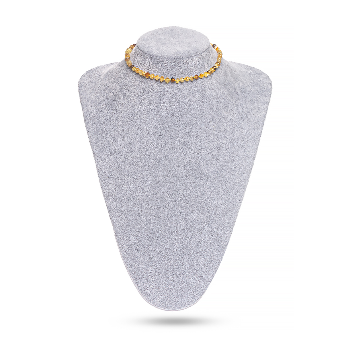 5373009925_2